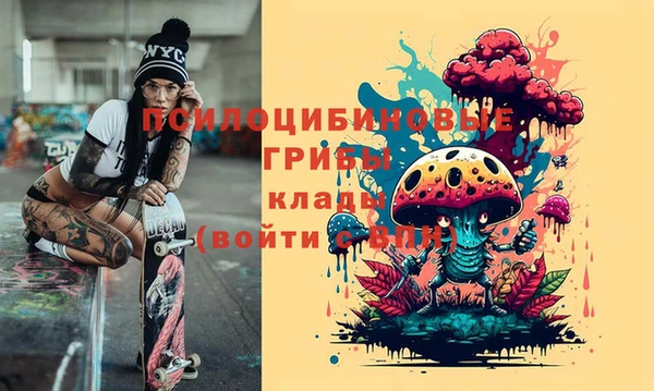 дурь Карталы