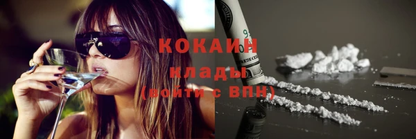 МДПВ Каменка