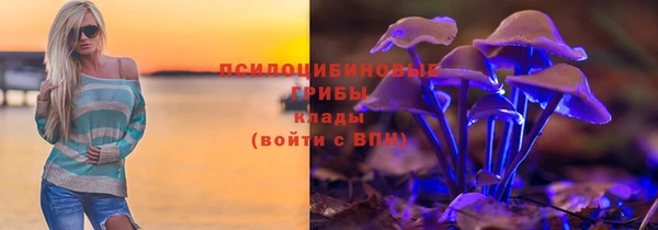 бошки Касимов