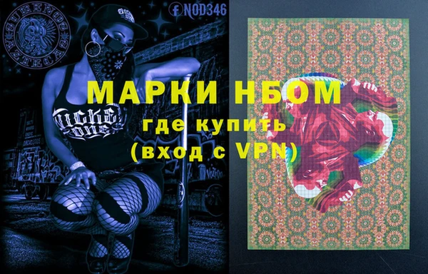 МДПВ Каменка