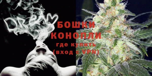 МДПВ Каменка