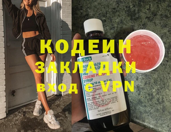 прущие грибы Каменск-Шахтинский