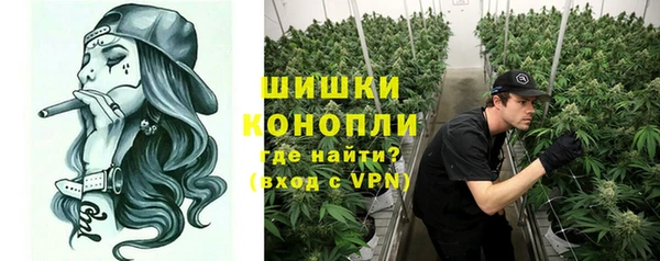 МДПВ Каменка