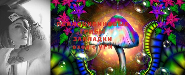 дурь Карталы