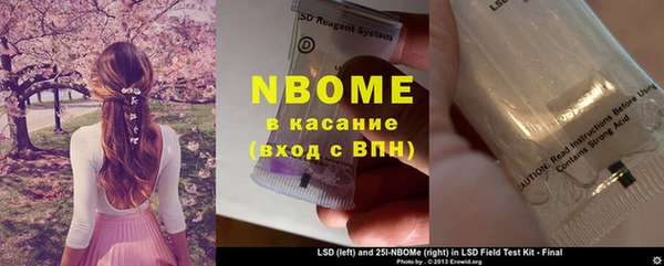 прущие грибы Каменск-Шахтинский